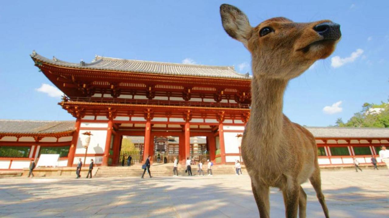 出来島サクラハウス一戸建 Sakura House Terrace 阪神出来島駅徒歩2分 Usj近く Dekijima Villa Ōsaka Eksteriør bilde