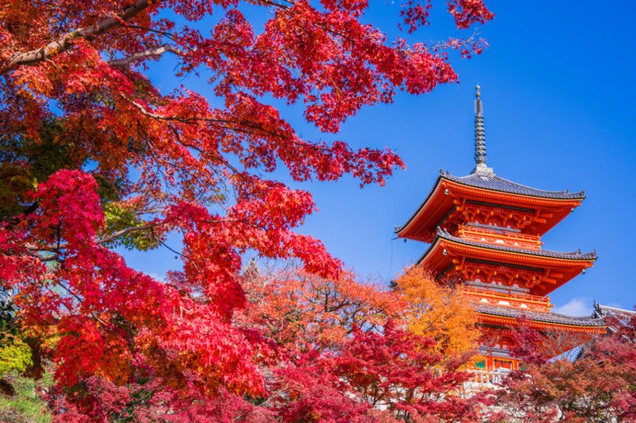 出来島サクラハウス一戸建 Sakura House Terrace 阪神出来島駅徒歩2分 Usj近く Dekijima Villa Ōsaka Eksteriør bilde